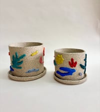 Image 4 of **MADE TO ORDER** planter + saucer