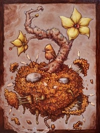 Image 2 of Natural Lens @AbendGallery