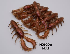 Image of 3.1” BuzzCraw (8 Pack)