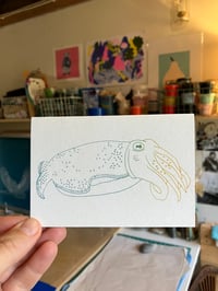 Image 1 of Cuttlefish cards 