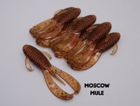 Image 16 of 3.25" Buzzard Bug (8 Pack)