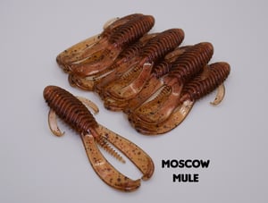 Image of 3.25" Buzzard Bug (8 Pack)