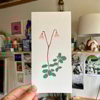Image 1 of Twinflower card 