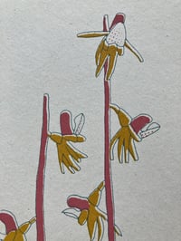 Image 2 of Ghost Orchid card