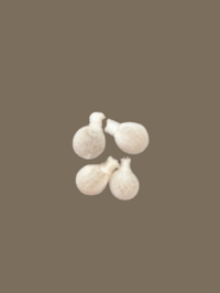 Image 1 of Yoni PHresh Pearls