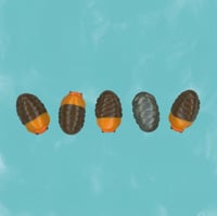 Image 1 of bug pals