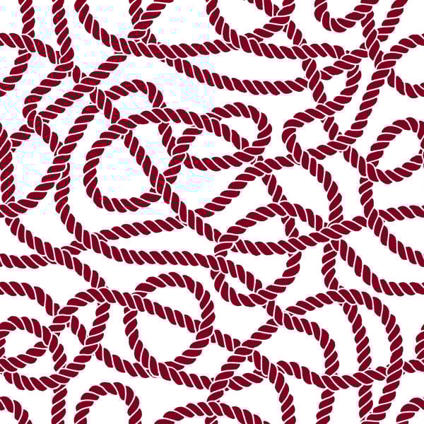 Image of The Rope