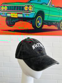 Image 2 of LA Native Rottweiler (2 Colors)