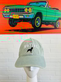 Image 4 of LA Native Rottweiler (2 Colors)