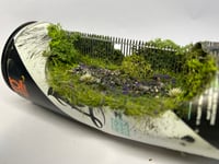 Image 2 of Purple Haze 