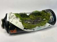 Image 1 of Purple Haze 