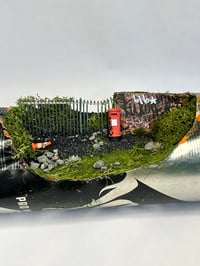 Image 3 of Orange Crush