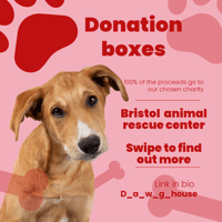 Dawg house donation box
