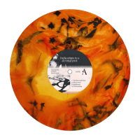 Image 2 of PRE-ORDER incaseyouleave - Dedications to a Devoted Past 