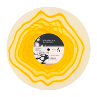 Image 4 of PRE-ORDER incaseyouleave - Dedications to a Devoted Past 