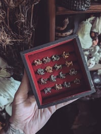 Image 1 of Zodiac rings 