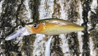 Image 2 of Custom Airbrushed Jerkbait 7068