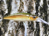 Image 3 of Custom Airbrushed Jerkbait 7068
