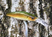 Image 4 of Custom Airbrushed Jerkbait 7068