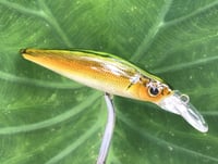 Image 7 of Custom Airbrushed Jerkbait 7068