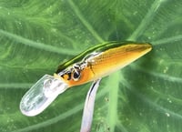 Image 9 of Custom Airbrushed Jerkbait 7068