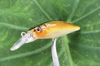 Image 10 of Custom Airbrushed Jerkbait 7068