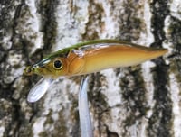 Image 3 of  Custom Airbrushed TA 110 Jerkbait SUSPEND 7161