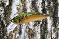 Image 4 of  Custom Airbrushed TA 110 Jerkbait SUSPEND 7161