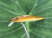 Image 10 of  Custom Airbrushed TA 110 MAXX Jerkbait  7398