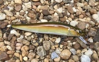 Image 1 of  Custom Airbrushed TA 110 MAXX Jerkbait  7398