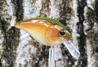 Image 2 of  Custom Airbrushed LC 1.5 Squarebill Crankbait 7482