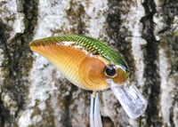 Image 3 of  Custom Airbrushed LC 1.5 Squarebill Crankbait 7482