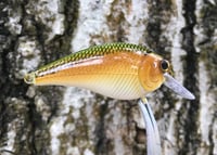 Image 4 of  Custom Airbrushed LC 1.5 Squarebill Crankbait 7482