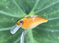 Image 5 of  Custom Airbrushed LC 1.5 Squarebill Crankbait 7482