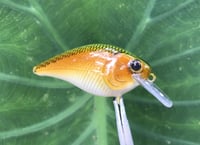 Image 6 of  Custom Airbrushed LC 1.5 Squarebill Crankbait 7482