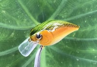 Image 7 of  Custom Airbrushed LC 1.5 Squarebill Crankbait 7482