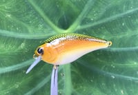 Image 8 of  Custom Airbrushed LC 1.5 Squarebill Crankbait 7482