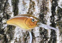 Image 5 of  Custom Airbrushed Crankbait 7512