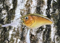 Image 7 of  Custom Airbrushed Crankbait 7512