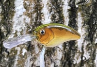 Image 8 of  Custom Airbrushed Crankbait 7512