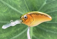 Image 1 of  Custom Airbrushed Crankbait 7512
