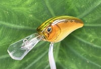Image 2 of  Custom Airbrushed Crankbait 7512