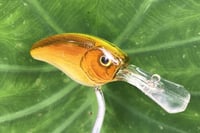 Image 3 of  Custom Airbrushed Crankbait 7512