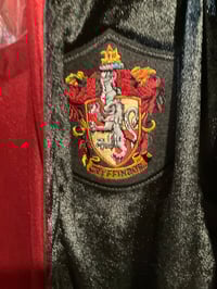 Image 3 of Harry Potter Costume