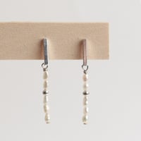 Earrings No.30