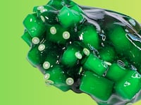 Image 3 of Kiwi & Lemon Squish