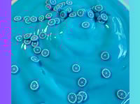 Image 2 of Butter Bubble Blue