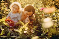 The Attachment Collective 2026: Three levels of documenting 2026