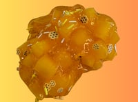 Image 3 of Honey and Oats Squish