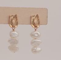 Earrings No.406